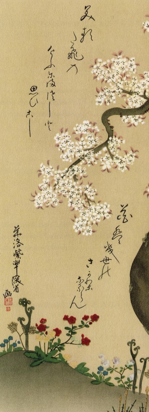 Cherry Blossom Kunstdruck Ogata Kenzan