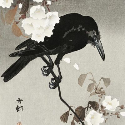 Crow And Cherry Blossom Kunstdruck Ohara Koson