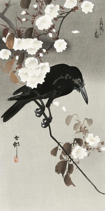 Corbeau et fleur de cerisier Impression artistique Ohara Koson 1