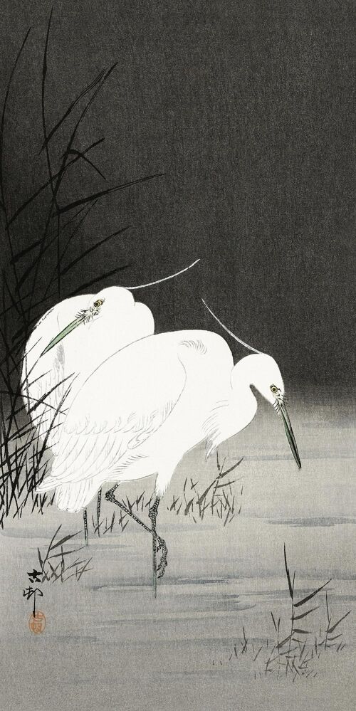 Two Egrets In The Reeds Kunstdruck Ohara Koson