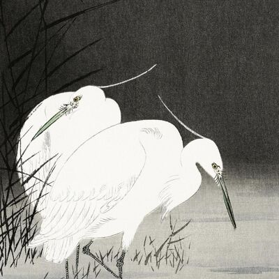 Two Egrets In The Reeds Kunstdruck Ohara Koson
