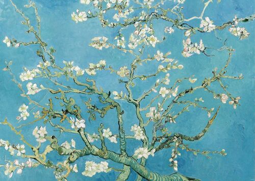 Van Gogh Riesenposter Mandelblüten 1890