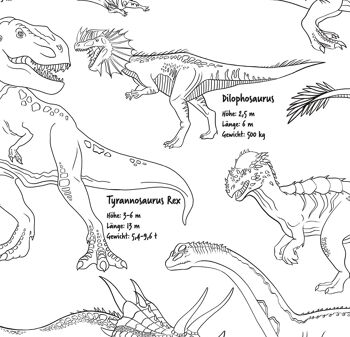 Le set d'affiches Dinosaur XXL se compose de posters XXL et à colorier. 9