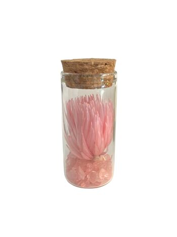 Set of 5 glass tubes with gems and dried flowers 4