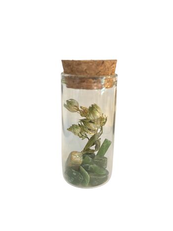 Set of 5 glass tubes with gems and dried flowers 6