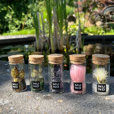 Set of 5 glass tubes with gems and dried flowers