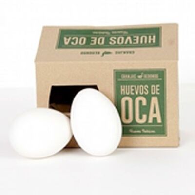 HUEVOS DE OCA