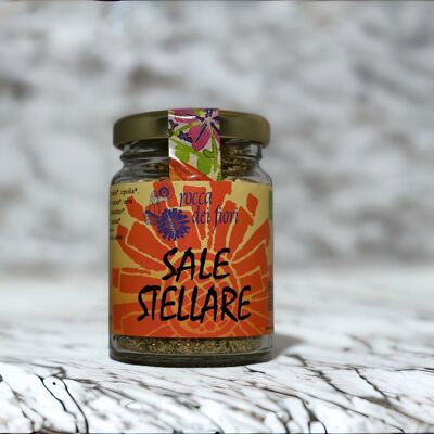 Sel Aromatique Stellaire Bio 55gr