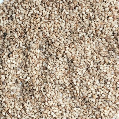 Organic Whole Grain Sesame Bulk 5KG - Bag 5 kg