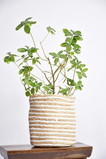 Artisanal Weave Stripped Jute Planters- (Ensemble de 4 jardinières), Bohemian Planters, Pots écologiques 2