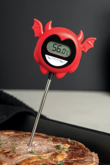 Thermomètre à viande Hell Done 2