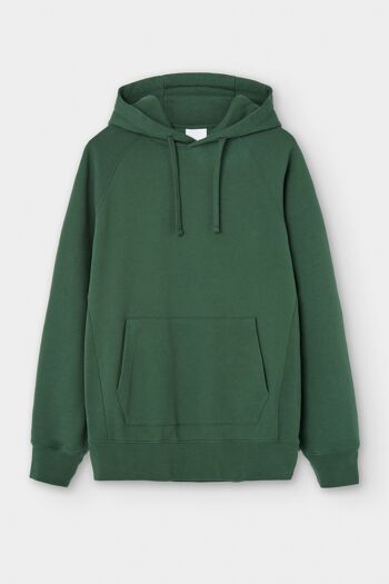 Sweat à capuche Essential Vert 1