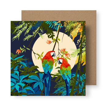 Papier Cadeau Mat Premium 50 x 70 ‘Perroquets’ 4