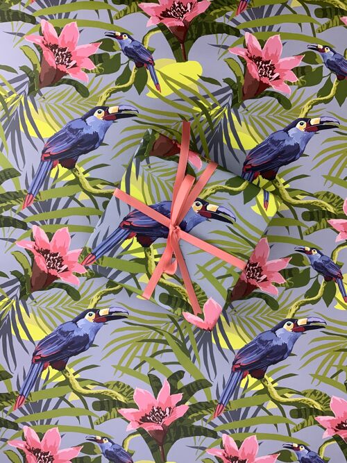 Premium Matt Gift Wrap 50 x 70 ‘Toucans’