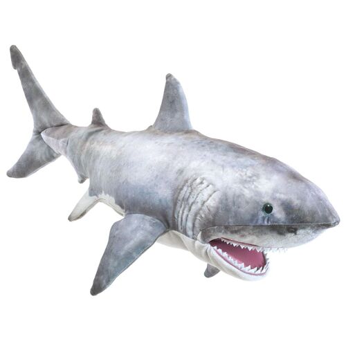 Weißer Hai / Great white shark 3181