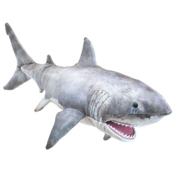 Grand requin blanc 3181