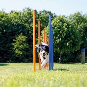 Dog agility - set slalom (12 pièces) 5