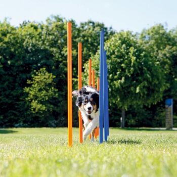 Agilité pour le chien - set slalom (12 pièces) 5