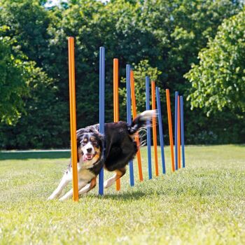 Dog agility - set slalom (12 pièces) 6