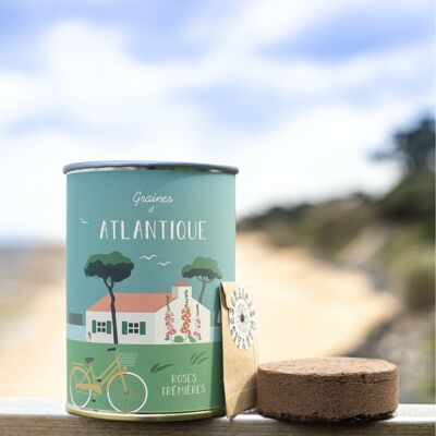 Kit de siembra "Atlantic" - Semillas de Hollyhock