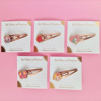 Lot de 5 barrettes 1