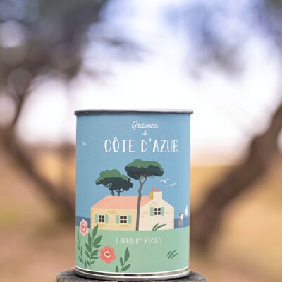 "Côte d'Azur" sowing kit - Oleander seeds