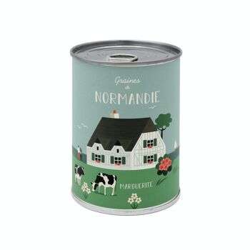 Kit à semer "Normandie" - Graines de Marguerites 3