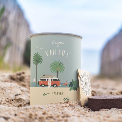 "Van Life" sowing kit - palm tree seeds