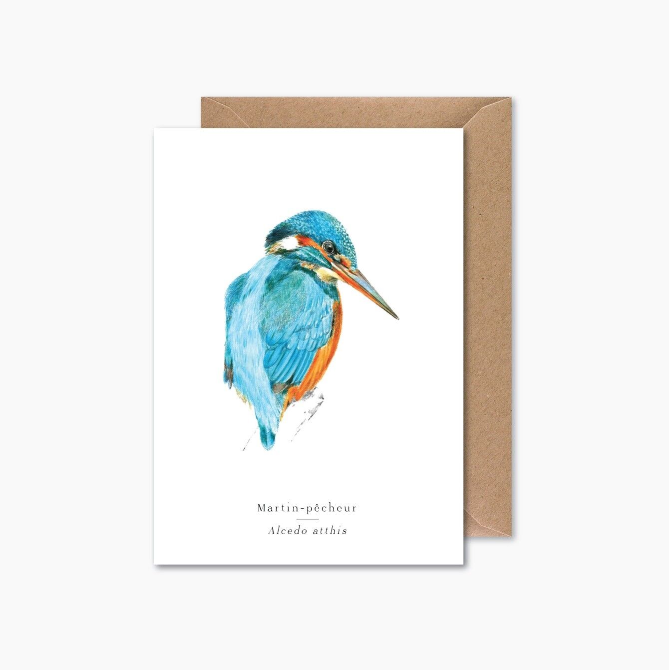 Kingfisher