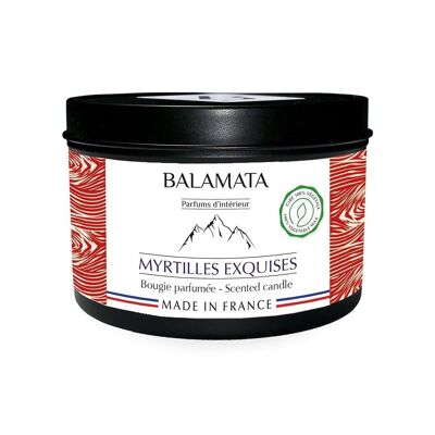 Bougie Parfumée - Myrtilles Exquises - 160G - En Montagne