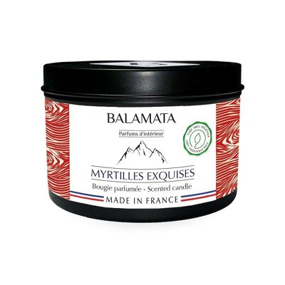 Bougie Parfumée - Myrtilles Exquises - 160G