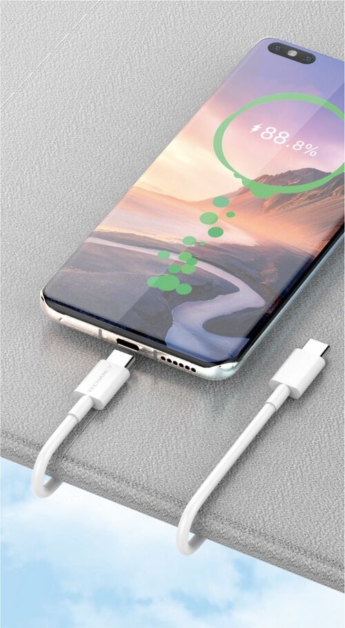 TECHANCY USB C to USB C Cable 60W PD 3.0 Fast Charging Cable Compatible with Samsung Galaxy S23/22/Z Fold/Z Flip, Google Pixel 7/6A MacBook Pro 2022, iPad Pro 2022, PS5, Switch