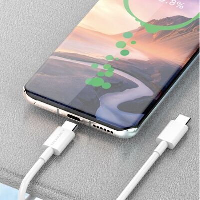 TECHANCY USB C auf USB C Kabel 60W PD 3.0 Schnellladekabel Kompatibel mit Samsung Galaxy S23/22/Z Fold/Z Flip, Google Pixel 7/6A MacBook Pro 2022, iPad Pro 2022, PS5, Switch