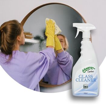 GLASS CLEANER RTU - Agent de nettoyage des surfaces en verre et miroir, 650ml 2