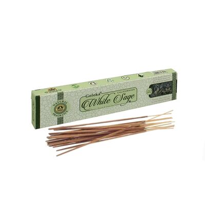 Indian incense “Purification and Protection” with white Sage