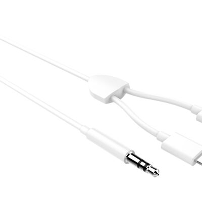 TECHANCY Câble audio auxiliaire pour iPhone, 2 en 1 USB C et Lightning vers câble audio AUX 3,5 mm pour casque audio de voiture Câble de conversion audio multifonction, compatible avec les appareils Type-C ou iOS