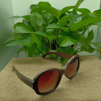 Lunettes de soleil en bambou marron Livegens Planet 3