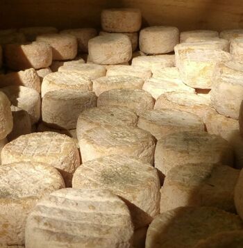 Petit Chèvre Fermier de Savoie 2