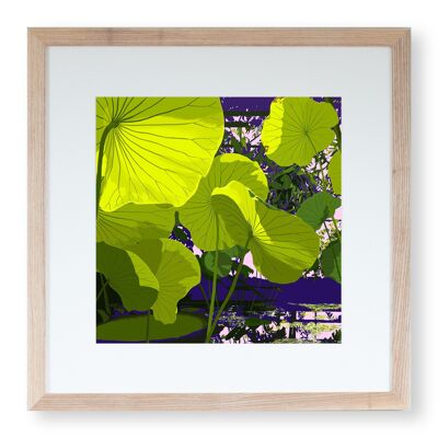 Kunstdruck „Sonnenlicht durch Lotus“ 20 x 20 cm