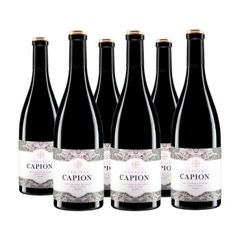 Chateau Capion Rouge 2017 6*75cl 1