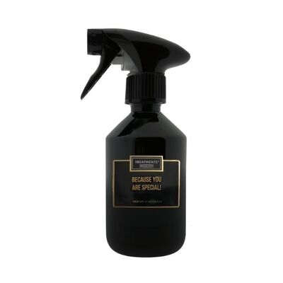 Traitements® - TPQ02 - Parfum d'Intérieur - Parce que vous êtes spécial ! - 300ML