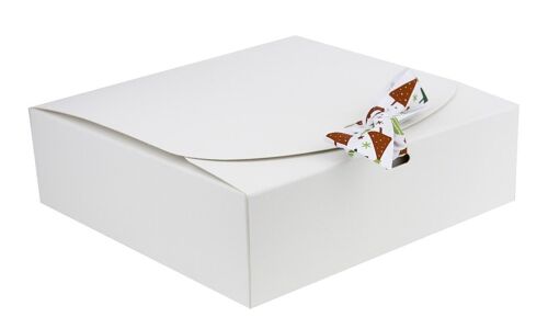 24 x 24 x 5 cm White Box & White Tree Ribbon - Pack of 12