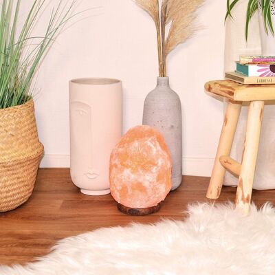 Salt Crystal Lamp - Piece from 4 to 6 kg