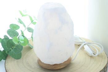 Lampe en Cristal de Sel Blanc 2 à 3 kg 1