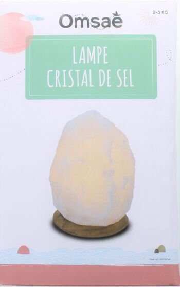 Lampe en Cristal de Sel Blanc 2 à 3 kg 3