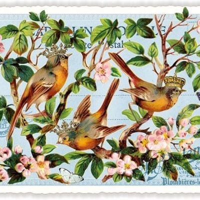 Oiseaux sur branch (sans texte) (SKU: PK1063)
