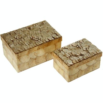 SET 2 RECT BOXES TOASTED NEAR OF PEARL CIRCLES _21X14X10+16X11X8CM LL37384