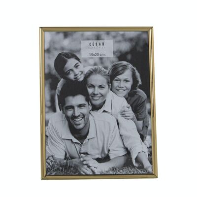 PORTA FOTO 15X20CM ACCIAIO INOX EXT:16.4X21.4X1CM LL78646