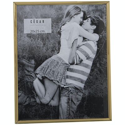 PHOTO HOLDER 20X25CM STAINLESS STEEL EXT:21.4X26.4X1CM LL78647