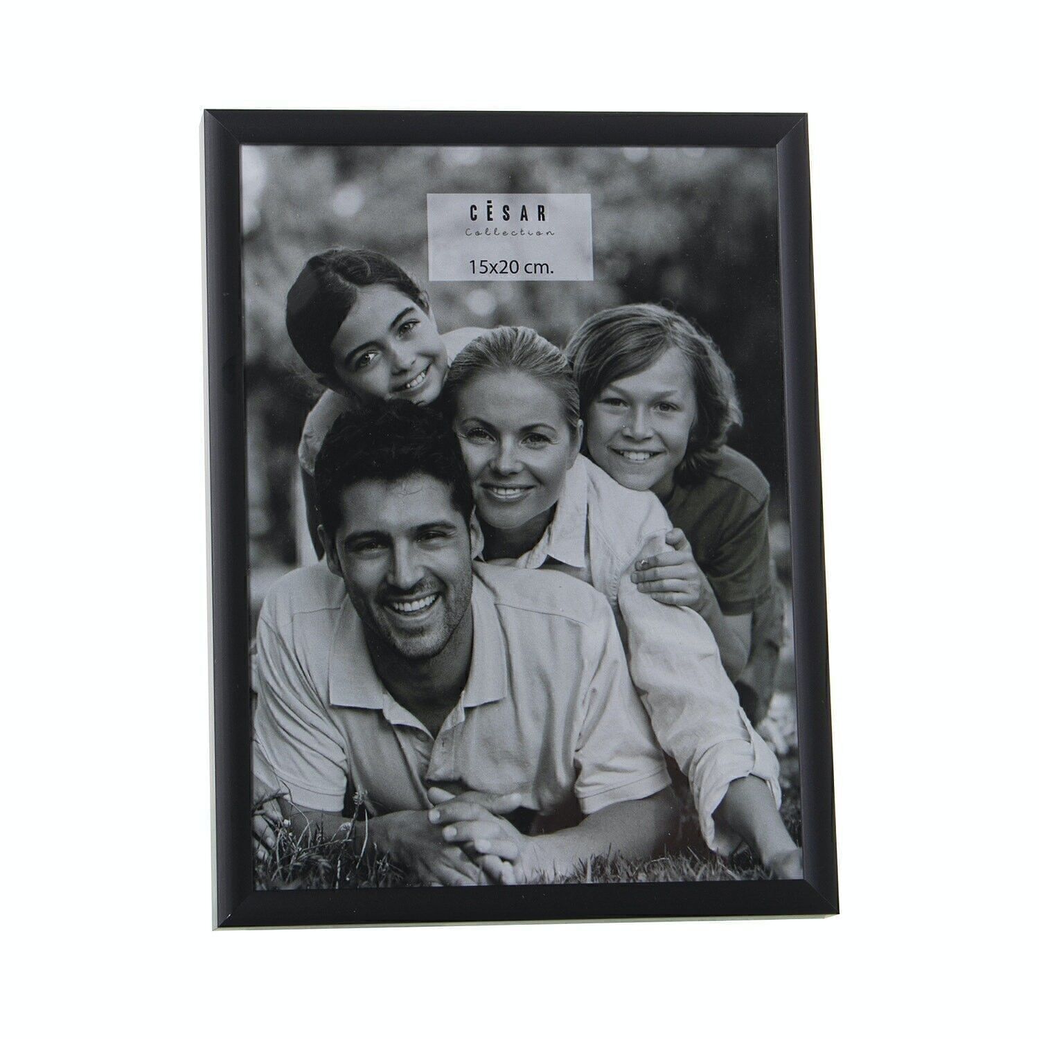 ALUMINIUM-FOTOHALTER 15X20CM EXT:16,8X21,8X2CM LL78673